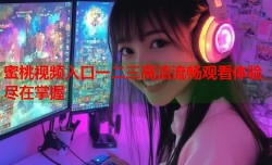 蜜桃视频入口一二三高清流畅观看体验尽在掌握