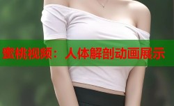 蜜桃视频：人体解剖动画展示